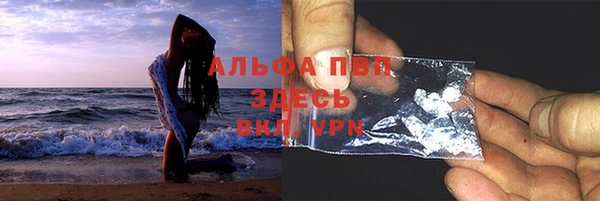 молекула духа Алексин